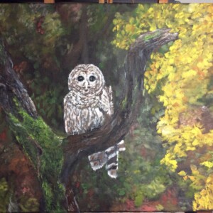 Owl 16 x 20 Owl