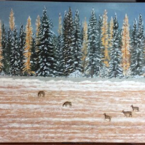 Elk, Flathead County, Montana 15 x 30 Elk, Flathead County, Montana