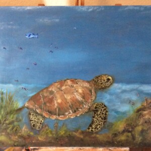 "Roaming" 16 x 20 Sea Turtle