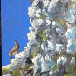 Mountain Goats - also called "Sidehill Gougers" 10 x 20