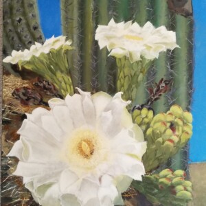 "May Visitors" 24 X 30, 2022 This is the 2nd in my "Desert Bloom" series. See also "Desert Beauties" in the Landscape Tab.