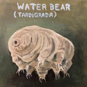 A Waterbear (look it up) 10 x 10 on board 2023