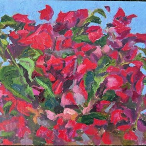 A Plein Aire study of my bougainvillea bush in the back yard 9 x 12 on board
